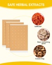 heat-patches-60-count-maximum-strength-m-5.jpg