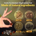 shilajit-micronutrient-supplement-himala-3.jpg