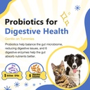 nature-target-dog-multivitamins-for-over-3.jpg