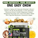 pets-are-kids-25-in-1-dog-multivitamin-f-5.jpg