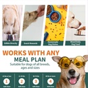 dog-multivitamin-glucosamine-chondroitin-5.jpg