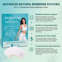 100pcs-berberine-patches-natural-plant-d-3.jpg