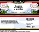 garcinia-cambogia-kola-nut-salve-2-oz-zi-4.jpg