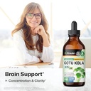 gotu-kola-tincture-4-fl-oz-bacopa-tinctu-2.jpg