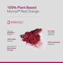 anew-vita-morosil-antioxidant-nutrition--3.jpg