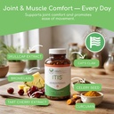 itis-herbal-wellness-supplement-celery-s-2.jpg