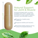 itis-herbal-wellness-supplement-celery-s-4.jpg