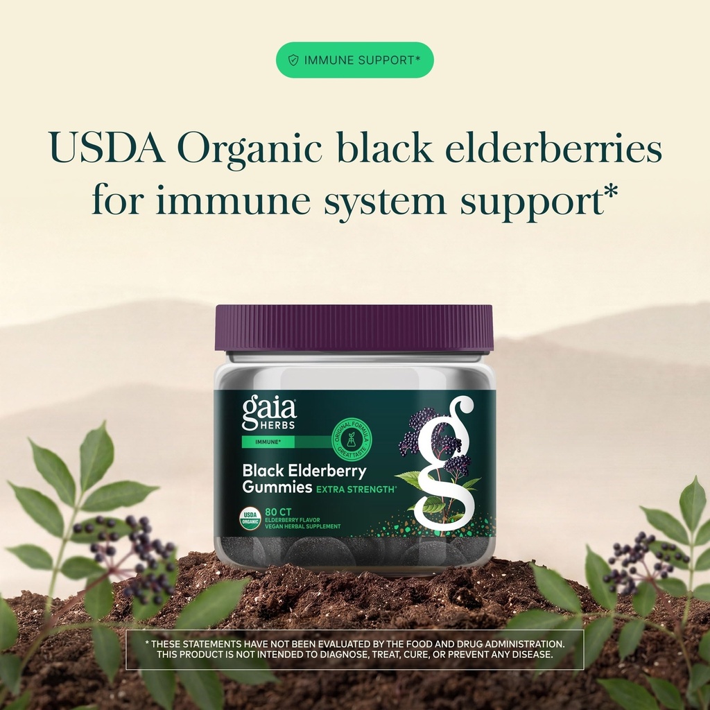 gaia-herbs-black-elderberry-sambucus-nig-3.jpg