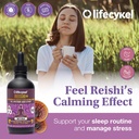 life-cykel-reishi-mushroom-extract-w-kak-6.jpg