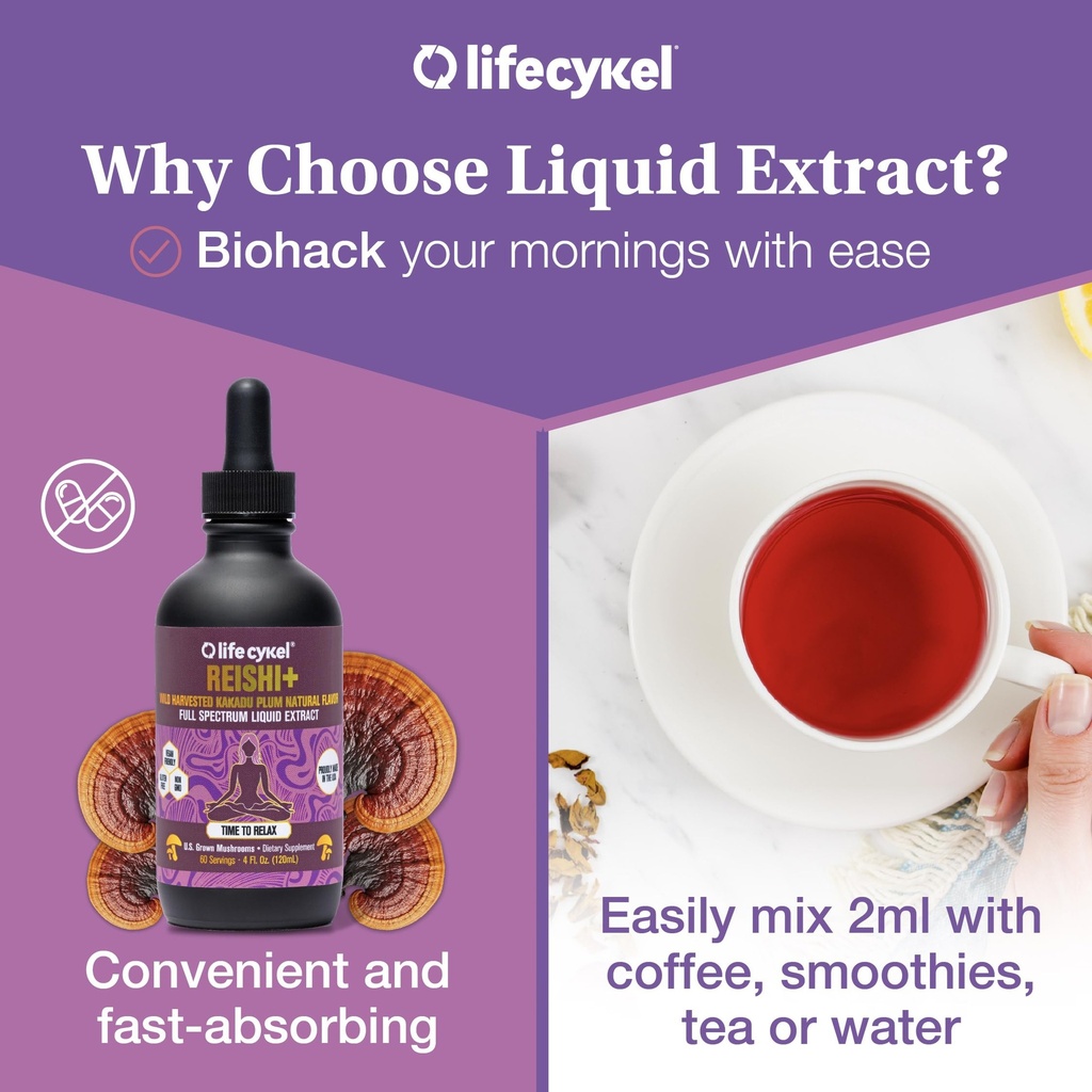 life-cykel-reishi-mushroom-extract-w-kak-3.jpg