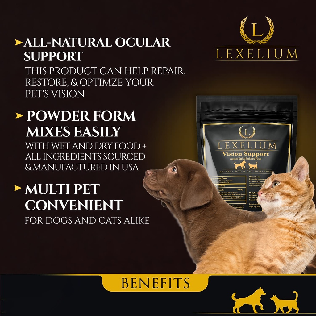 vision-eye-support-for-dogs-cats-with-lu-2.jpg