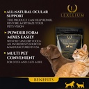 vision-eye-support-for-dogs-cats-with-lu-2.jpg