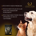 vision-eye-support-for-dogs-cats-with-lu-4.jpg