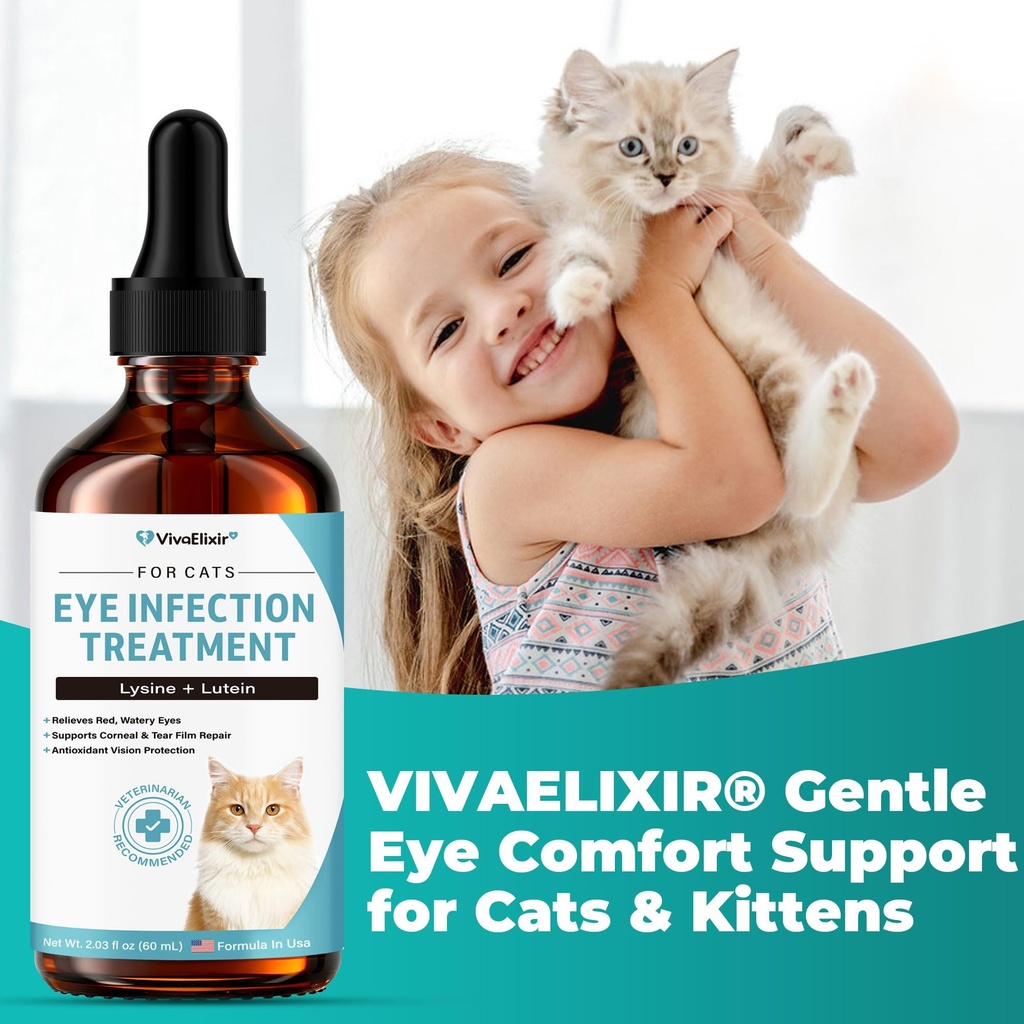 cat-eye-infection-treatment-vision-care--6.jpg