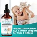 cat-eye-infection-treatment-vision-care--6.jpg