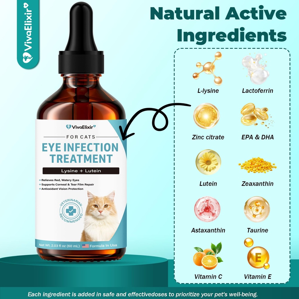 cat-eye-infection-treatment-vision-care--3.jpg