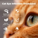 cat-eye-infection-treatment-vision-care--2.jpg