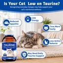 taurine-for-cats-drop-4-oz-cats-taurine--2.jpg