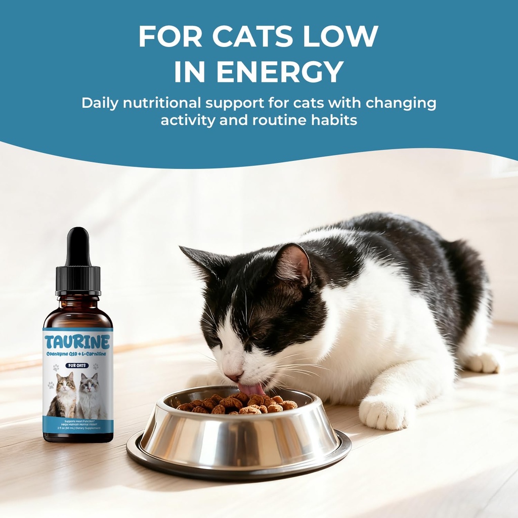 taurine-supplement-for-cats-liquid-drops-2.jpg