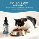 taurine-supplement-for-cats-liquid-drops-2.jpg