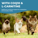 taurine-supplement-for-cats-liquid-drops-5.jpg