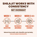 natruveda-himalayan-shilajit-honey-stick-5.jpg