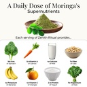 shilajit-and-moringa-gummies-elderberry--4.jpg