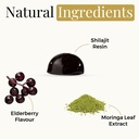 shilajit-and-moringa-gummies-elderberry--3.jpg