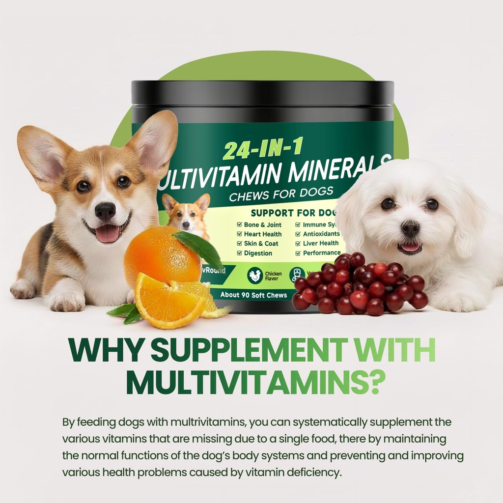 24-in-1-dog-vitamins-and-supplements-dog-3.jpg
