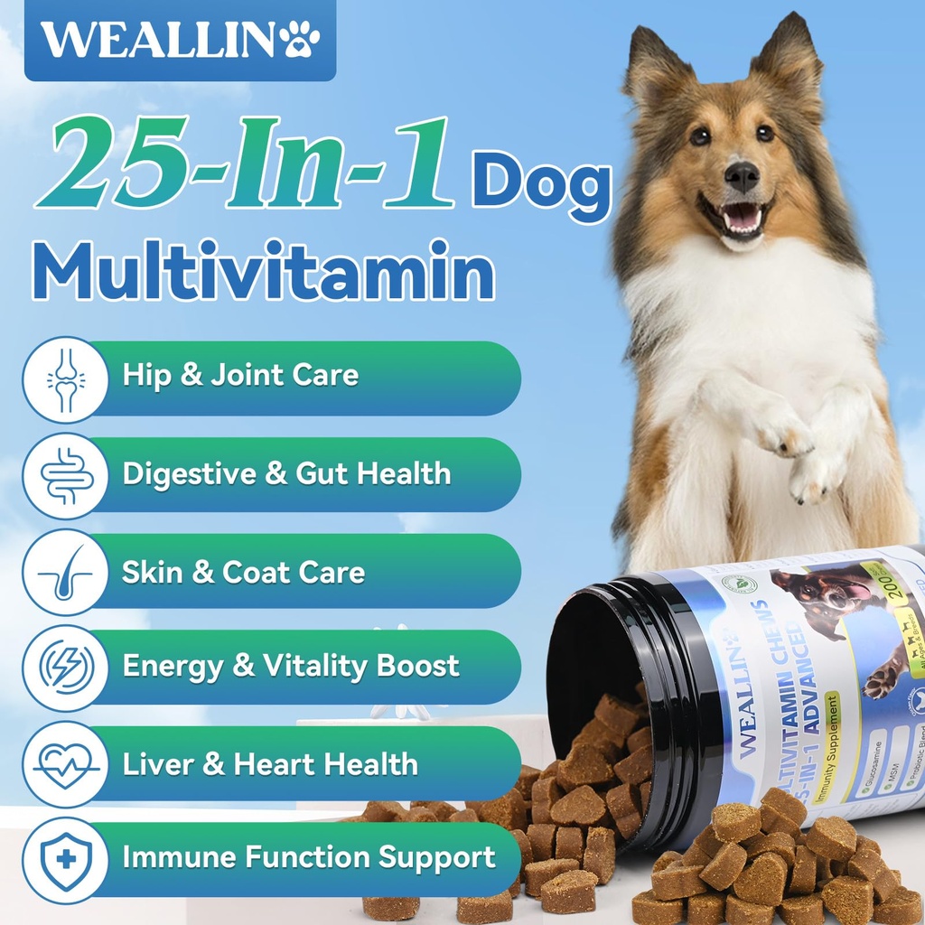 dog-vitamins-dog-multivitamin-is-human-w-2.jpg