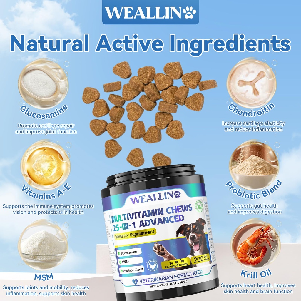 dog-vitamins-dog-multivitamin-is-human-w-3.jpg