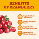 cranberry-supplement-for-dogs-with-d-man-2.jpg