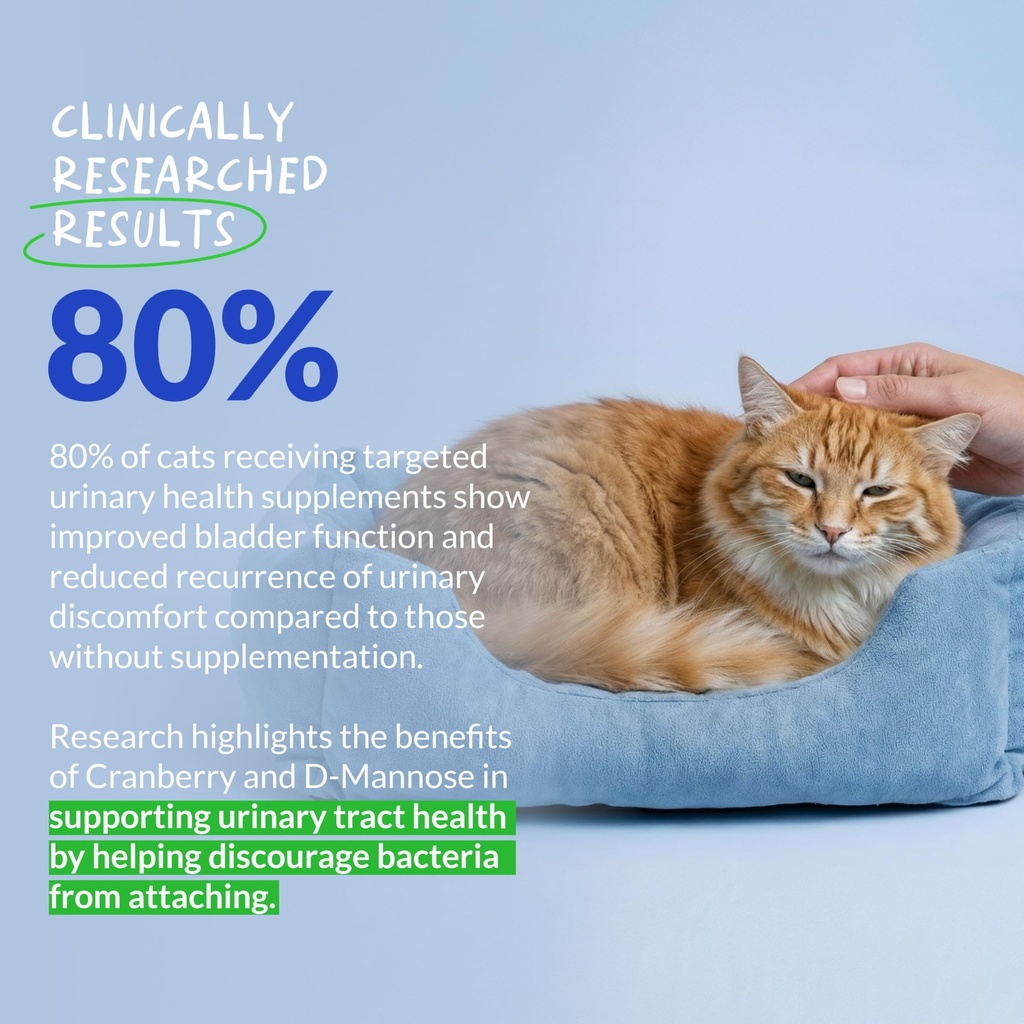 cranberry-for-cats-powder-uti-bladder-he-3.jpg