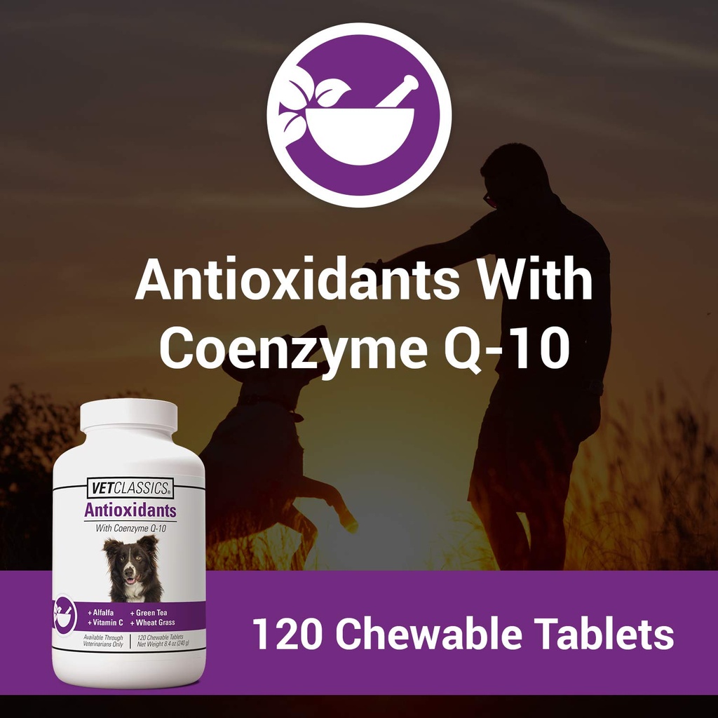antioxidants-supplement-with-coenzyme-q--2.jpg