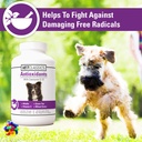 antioxidants-supplement-with-coenzyme-q--3.jpg
