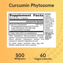 jarrow-curcumin-phytosome-500-mg-antioxi-6.jpg