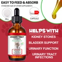 cat-urinary-tract-infection-treatment-ca-5.jpg