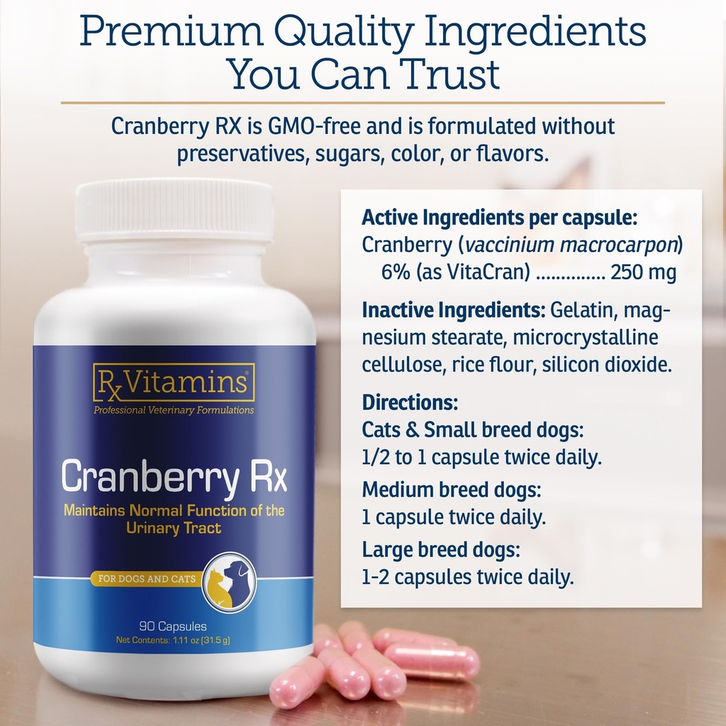 rx-vitamins-cranberry-rx-cranberry-suppl-6.jpg