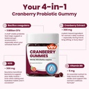vev-cranberry-gummies-xos-3b-cfu-probiot-4.jpg