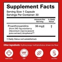 szio-10-bundle-utiva-cranberry-pacs-30-v-3.jpg