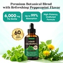venture-pal-5-in-1-liquid-chlorophyll-dr-3.jpg