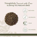 starwest-botanicals-wildcrafted-mullein--4.jpg