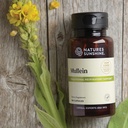 nature-s-sunshine-mullein-100-capsules-2.jpg