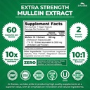 zazzee-extra-strength-mullein-leaf-10-1--2.jpg