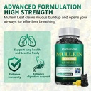 3000mg-organic-mullein-gummies-contains--4.jpg