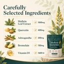 vitanics-mullein-gummies-mullein-leaf-ex-5.jpg