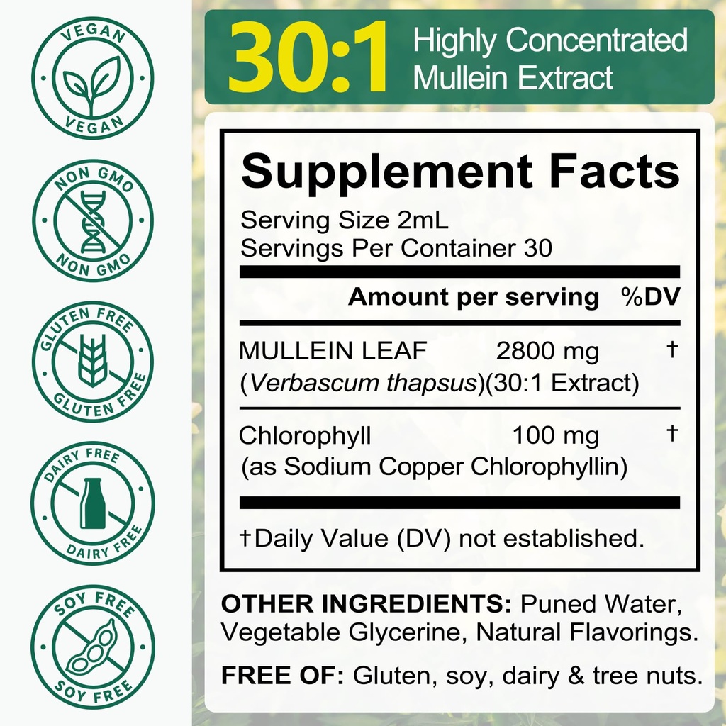 mullein-leaf-extract-for-lungs-better-lu-5.jpg