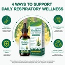 mullein-leaf-extract-for-lungs-better-lu-3.jpg