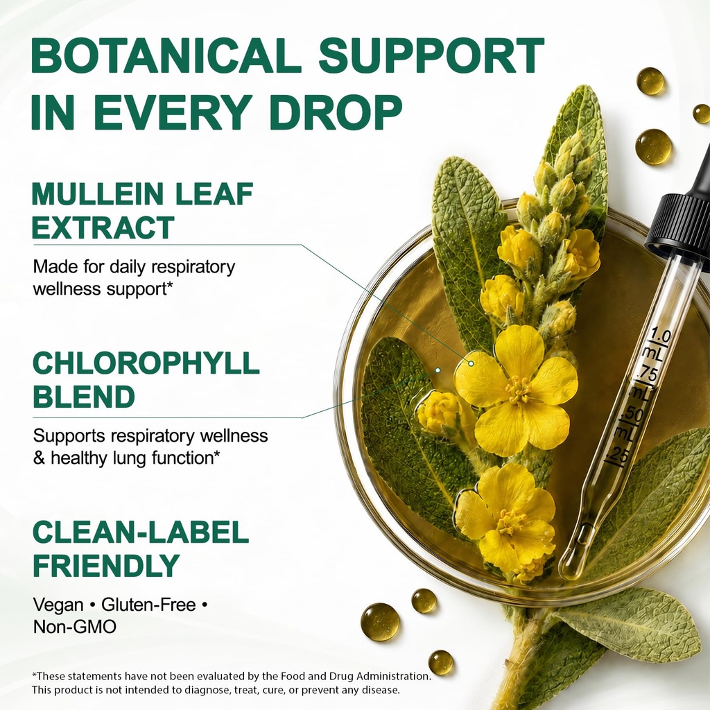 mullein-leaf-extract-for-lungs-better-lu-4.jpg