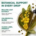 mullein-leaf-extract-for-lungs-better-lu-4.jpg